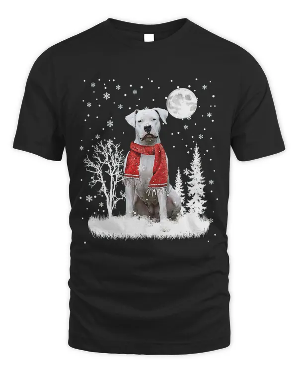 Dogo Argentino Under Moonlight Snow Christmas Pajama 300