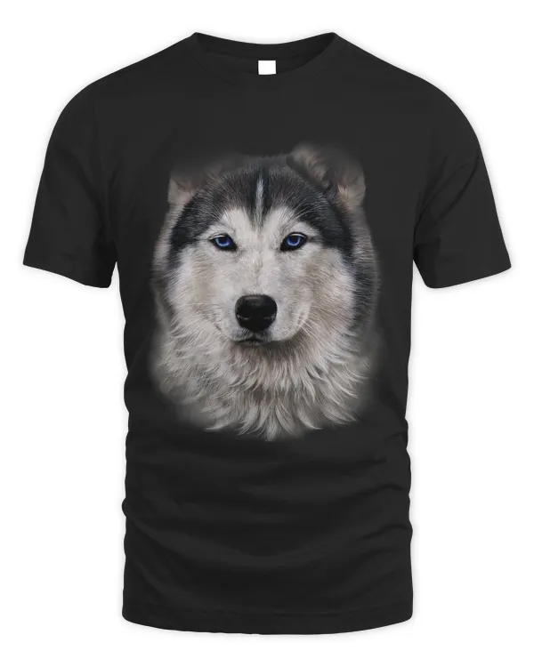 Beautiful Siberian Husky Dog Face
