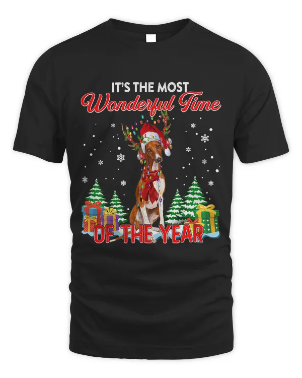 Azawakh Christmas Santa Lights Its The Most Wonderful Time