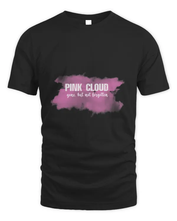 Pink Cloud Gone But Not Forgotten