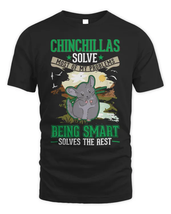 Chinchillas solve most of my problems Chinchilla