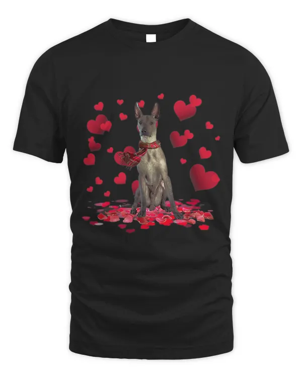 Cute Xoloitzcuintli Hearts Dog Scarf Valentines Day