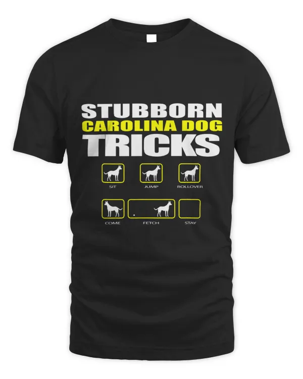 Stubborn Carolina Dog Tricks Funny Dog