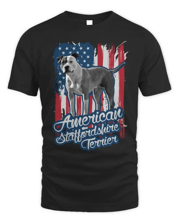 Dog American Staffordshire TerrierAmstaff 47 paw