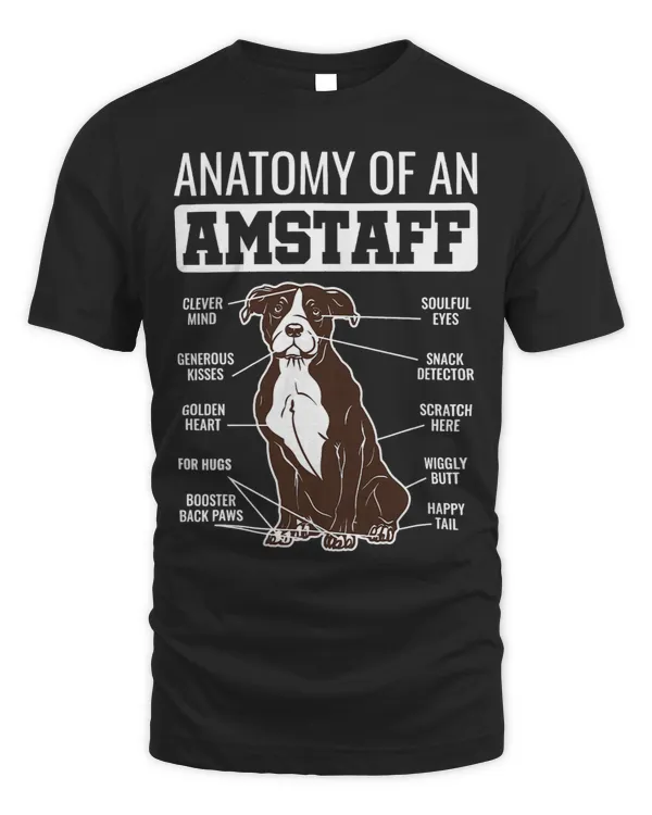 Anatomy Of An Amstaff American Staffordshire Terrier