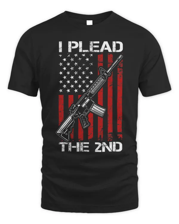 I Plead The 2nd Amendment Pro Gun Rights AR15 USA Flag