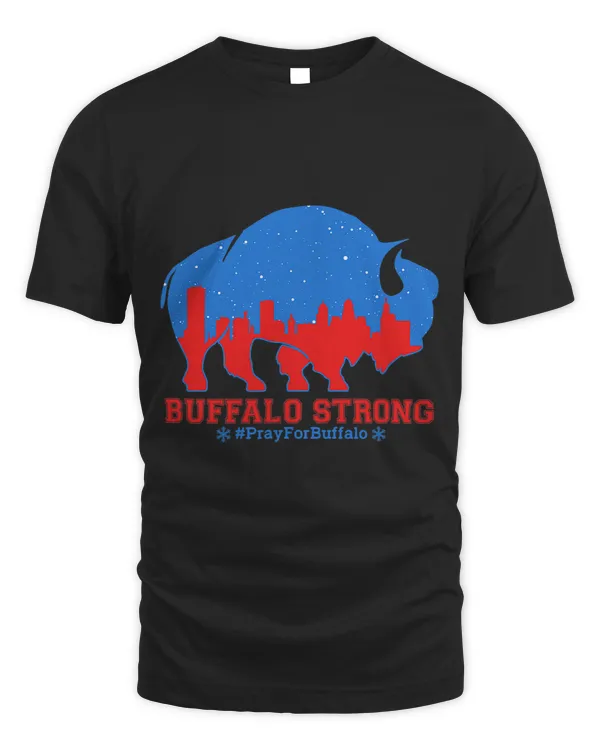 Buffalo Downtown City Skyline NY New York Pray For Buffalo