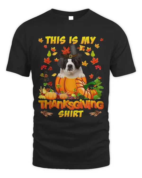 Saint Bernard Dog In Pumpkin This Is My Thanksgiving