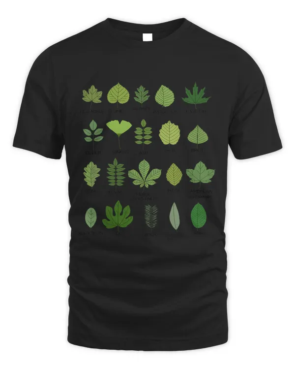 Leaf Identification Chart Common Leaves