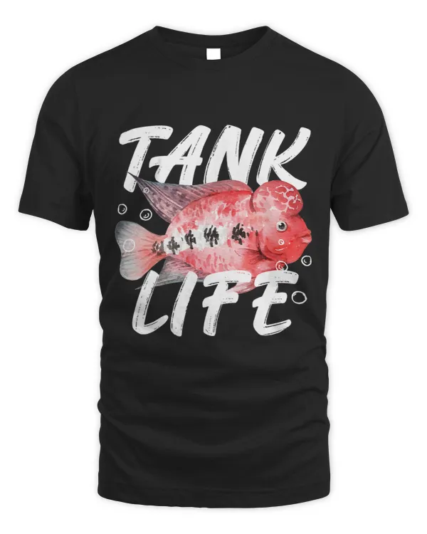 Tank Life Fishkeeping Aquascaping Flowerhorn Aquariums