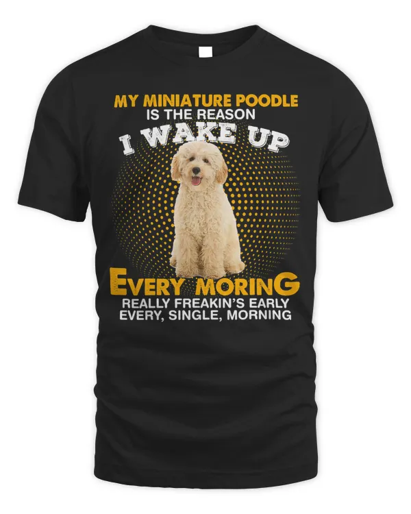 Poodles My MINIATURE POODLE Is Reason I Wake Up Every Morning 265 Poodle dog