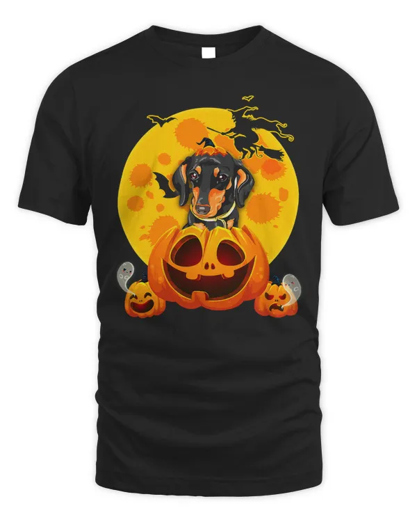 Wiener Funny Pumpkin Witch Hat Halloween Costumes 84 Dachshund Doxie