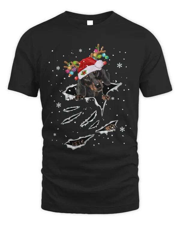 Wiener Christmas Reindeer Hat Santa Christmas Pajama 340 Dachshund Doxie
