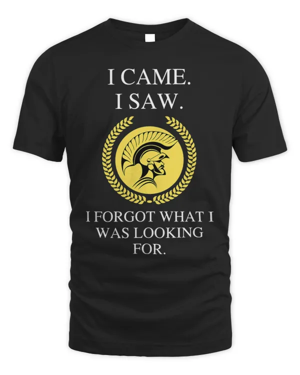 I Came I Saw I Forgot What I Was Looking For a Funny