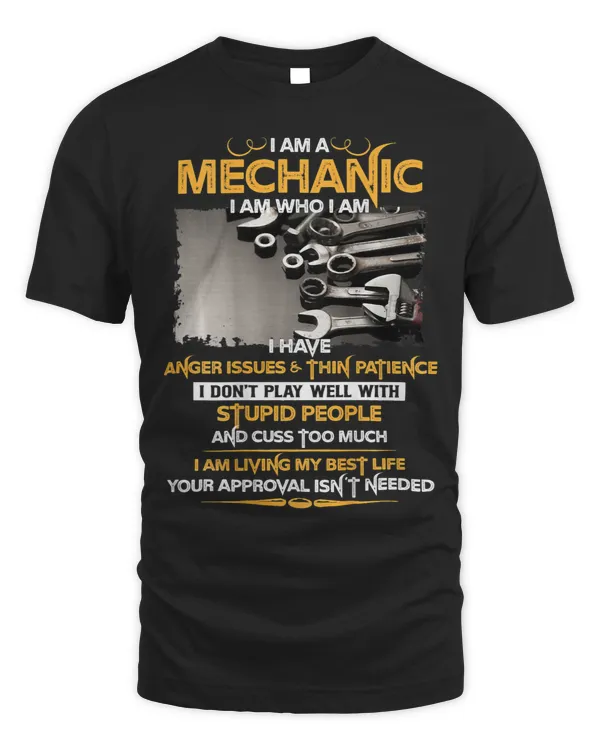 Mechanic Have Anger Issues