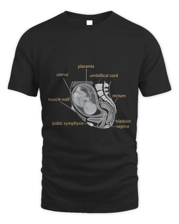 Womens Pregnancy Anatomy Obstetrician Midwife Doula Birth