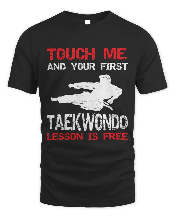 Funny Taekwondo T-Shirt Taekwondo Instructor Gift
