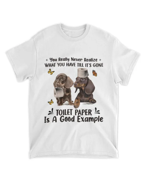 Dachshund You Never Realize What You Have