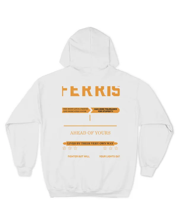 FERRIS-13K-N1-01