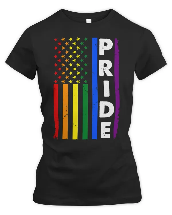 LGBT Pride Rainbow America flag LGBT gay pride gifts 516 Gay LGBTQ