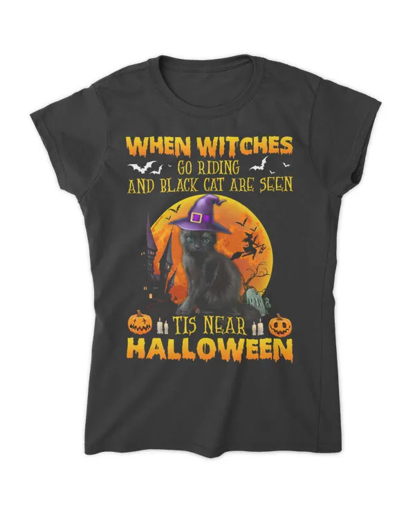 Black Cat When Witches Go Riding