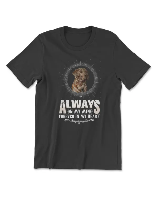 Pet Memoria Dog
