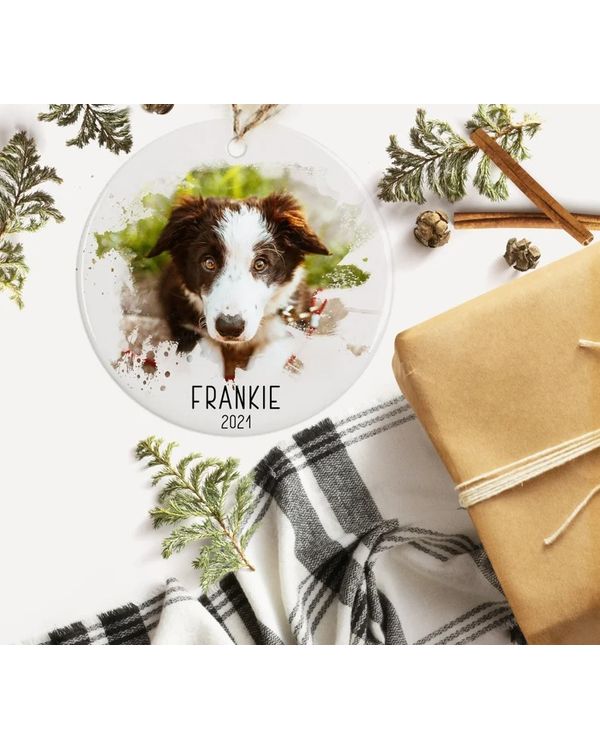 Personalized Pet Ornament with Photo, Name and Date/Year