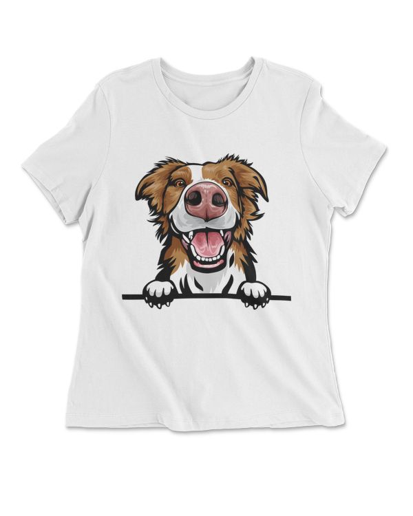 Animal Dog Border Collie