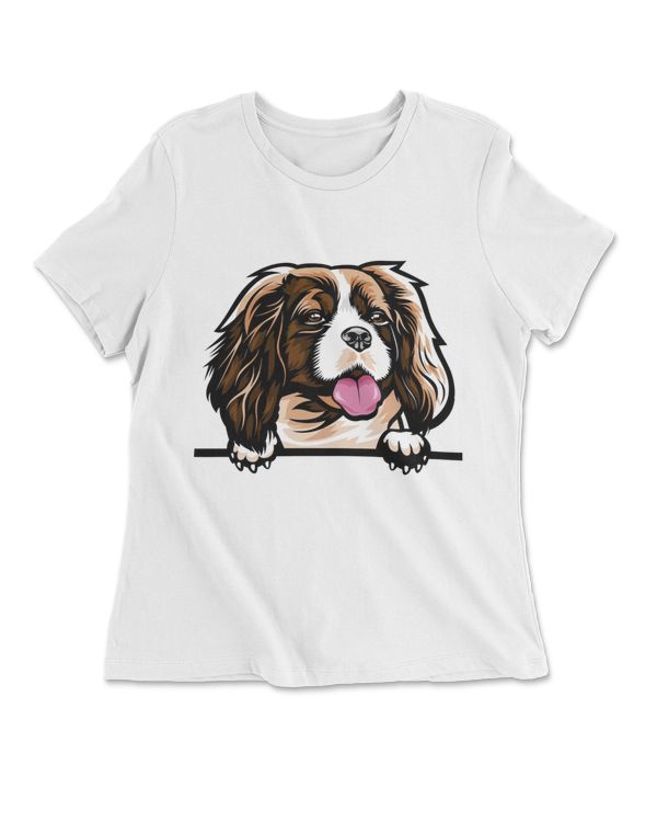 Animal Dog Cavalier King Charles Spaniel