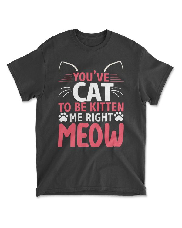 YOUVE CAT TO BE KITTEN ME RIGHT MEOW