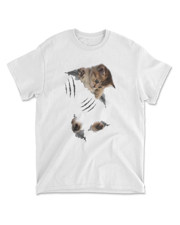 Cat Cute