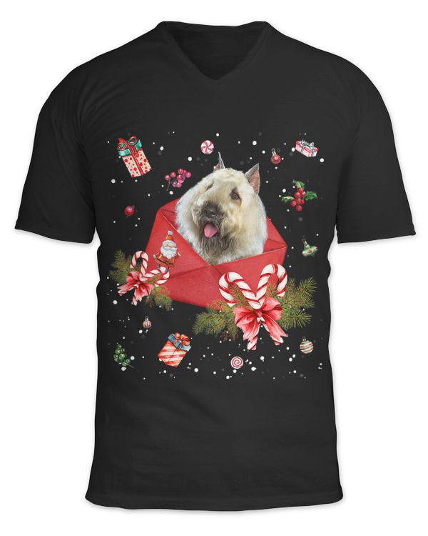 Bouvier Des Flandres In Christmas Card Ornament Pajama Xmas410