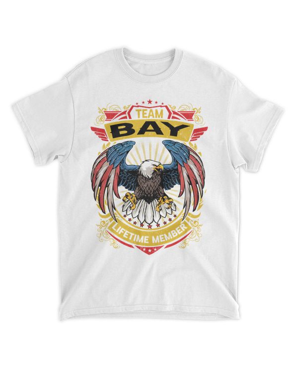 BAY-13K-N3-01