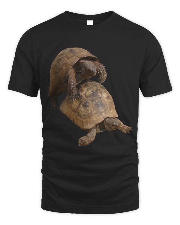 Slow Love Tortoise Mating Wildlife Cut Out