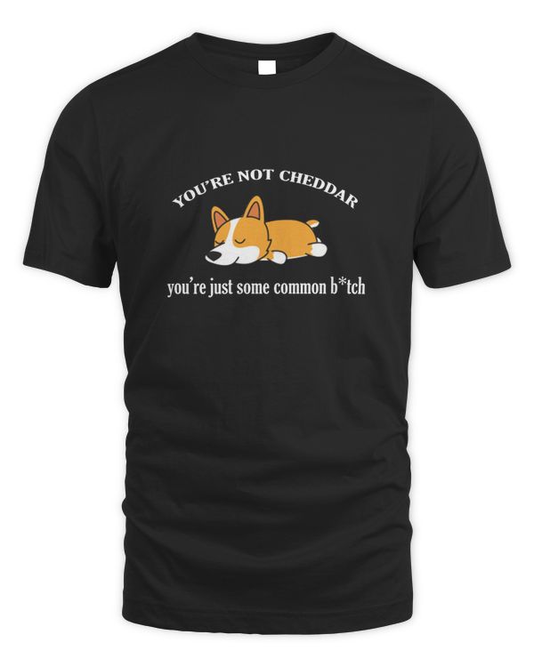 You are not cheddar you are just come common b*tch - funny dog shirt for men and women