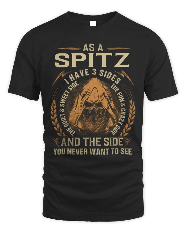 SPITZ-NT-20-01