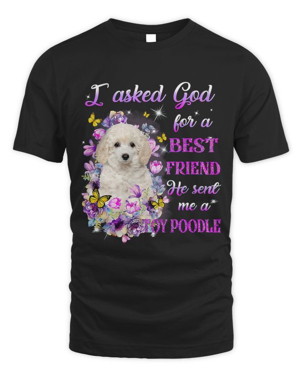 I Asked God For A Best Friend He Sent Me My Poodle