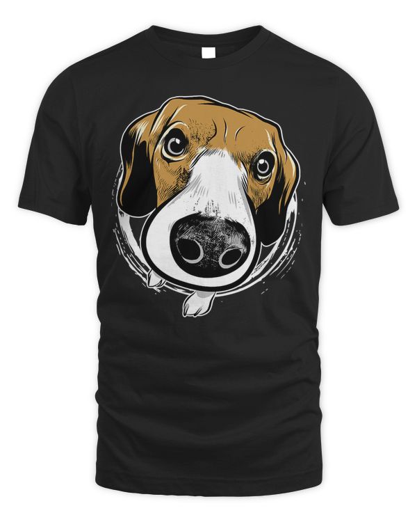 Beagle Dog Cute beagle dog pet funny dog look 87 Beagles