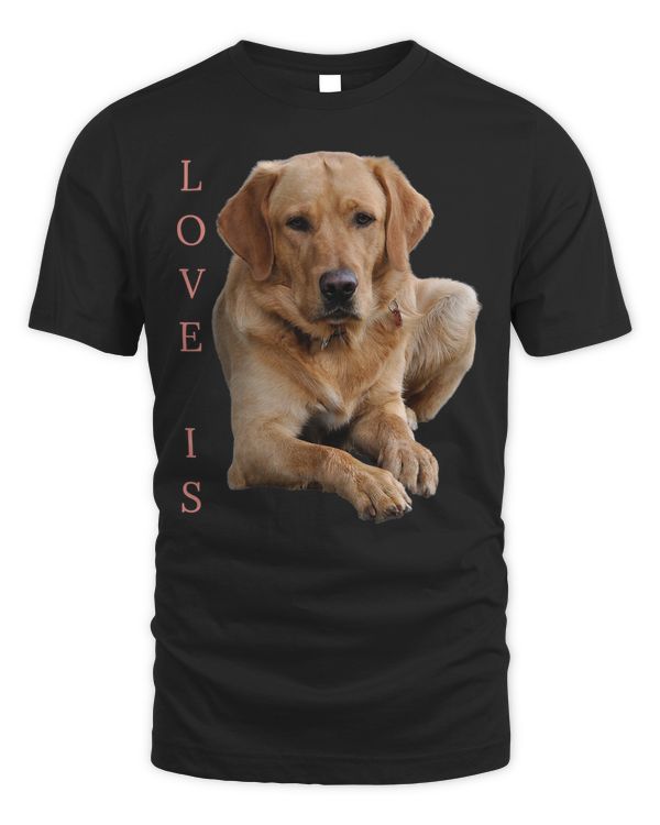 Golden Retriever Goldie Dog Mom Dad Love Puppy Pet Cute 444 Retrievers