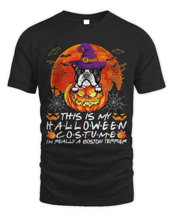 Halloween Costume Im Really A Boston Terrier Dog Pumpkin