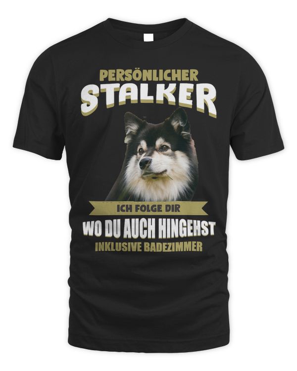 Dog Finnish LapphundFinnish Lapphund Dog puppy pet paw