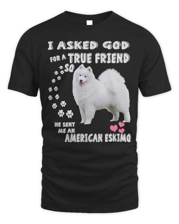 Dog German Spitz Dog Cute Eskie Dog American Eskimo Dog puppy animal