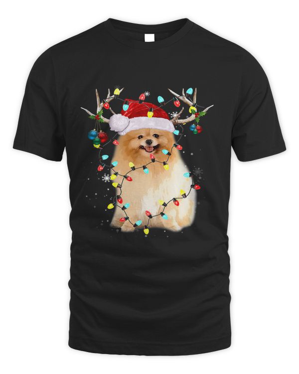 Santa Pomeranian Reindeer Light Christmas81
