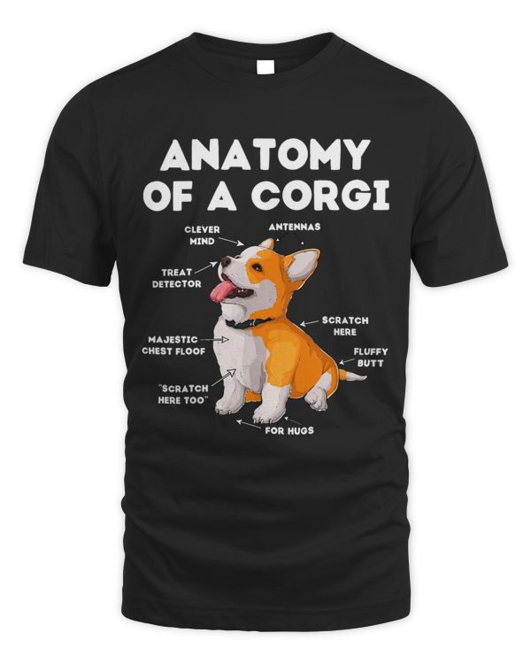 Anatomy of a Corgi Puppy 102