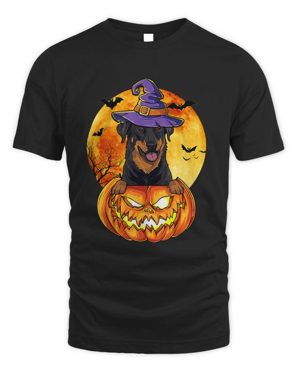 Beauceron Witch Pumpkin Halloween Dog Lover Funny 44