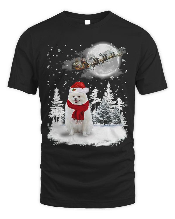 Pomeranian Dog Under Moonlight Snow Christmas Pajama 288