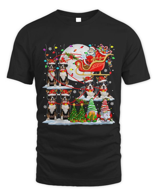Santa Sleigh Reindeer Entlebucher Mountains Xmas Family Kids 21