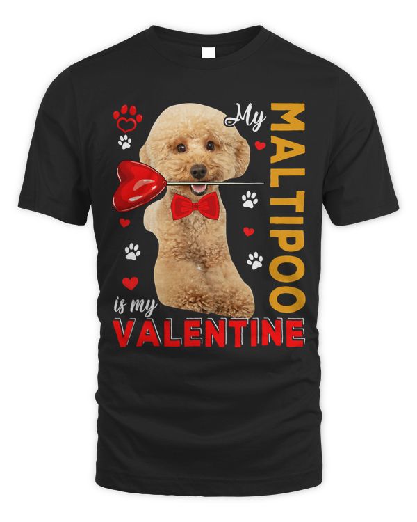 My Maltipoo Is My Valentine Cute Dog Holding Heart Lover 53