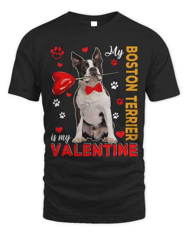 My Boston Terrier Is My Valentine Cute Dog Holding Heart 51