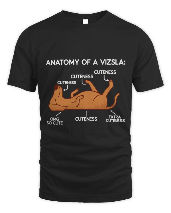 Cute Anatomy Dog Hungarian Short Haired Magyar Vizsla